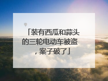 装有西瓜和蒜头的三轮电动车被盗，案子破了