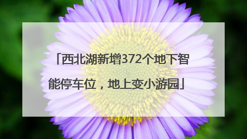 西北湖新增372个地下智能停车位，地上变小游园