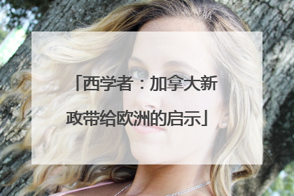 西学者：加拿大新政带给欧洲的启示