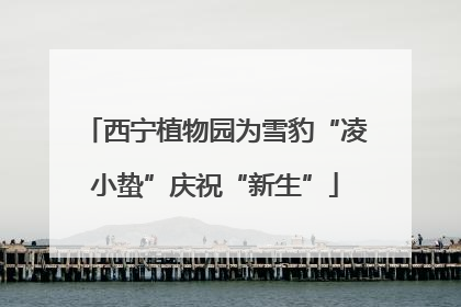 西宁植物园为雪豹“凌小蛰”庆祝“新生”