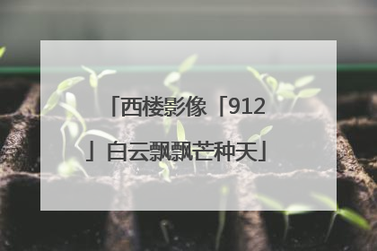 西楼影像「912」白云飘飘芒种天