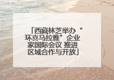 西藏林芝举办“环喜马拉雅”企业家国际会议 推进区域合作与开放