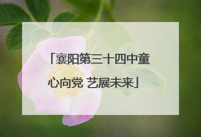 襄阳第三十四中童心向党 艺展未来