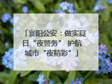 襄阳公安：做实夏日“夜警务” 护航城市“夜精彩”