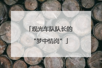 观光车队队长的“梦中情岗”