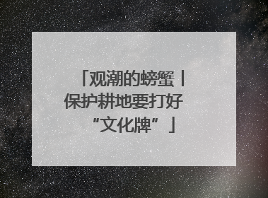 观潮的螃蟹丨保护耕地要打好“文化牌”