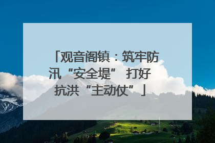 观音阁镇：筑牢防汛“安全堤” 打好抗洪“主动仗”