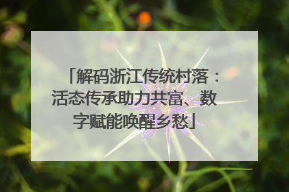 解码浙江传统村落：活态传承助力共富、数字赋能唤醒乡愁