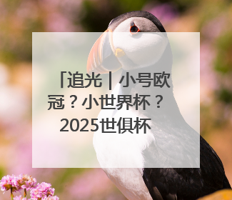 追光｜小号欧冠？小世界杯？2025世俱杯6大看点