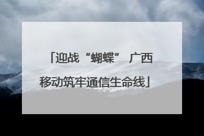 迎战“蝴蝶” 广西移动筑牢通信生命线