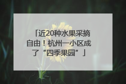 近20种水果采摘自由！杭州一小区成了“四季果园”