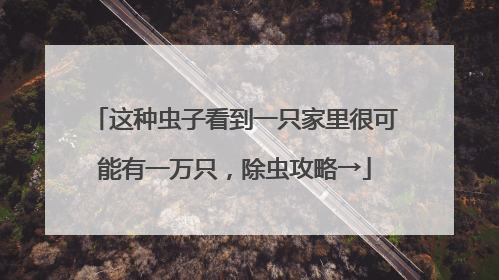 这种虫子看到一只家里很可能有一万只，除虫攻略→