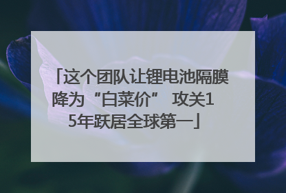 这个团队让锂电池隔膜降为“白菜价” 攻关15年跃居全球第一