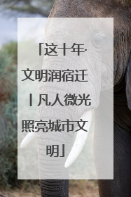 这十年·文明润宿迁丨凡人微光照亮城市文明