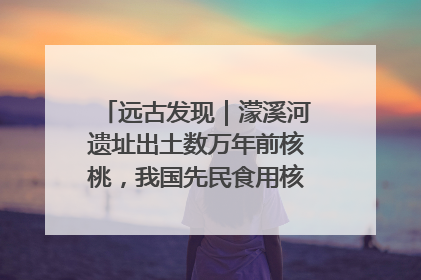远古发现｜濛溪河遗址出土数万年前核桃，我国先民食用核桃历史大幅提前
