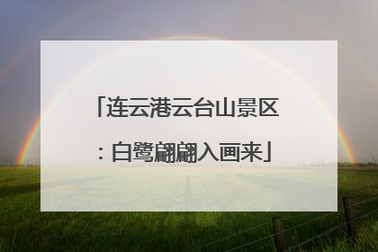 连云港云台山景区：白鹭翩翩入画来