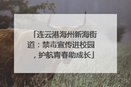 连云港海州新海街道：禁毒宣传进校园，护航青春助成长