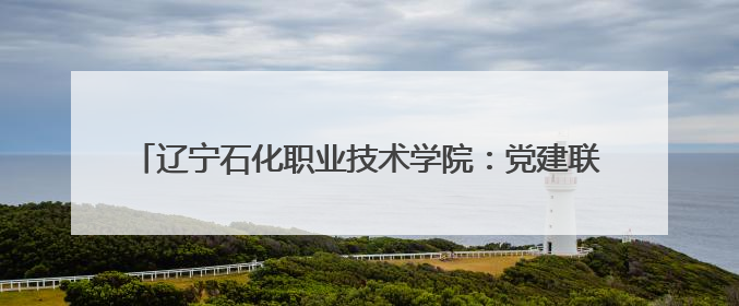 辽宁石化职业技术学院：党建联学共建，政行园企校协同育人