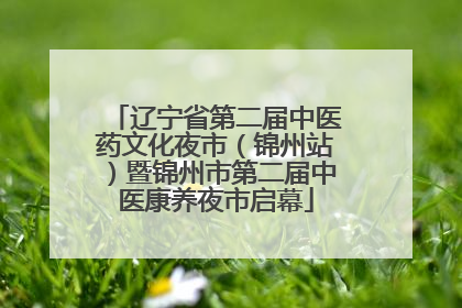辽宁省第二届中医药文化夜市（锦州站）暨锦州市第二届中医康养夜市启幕