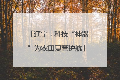 辽宁：科技“神器”为农田夏管护航