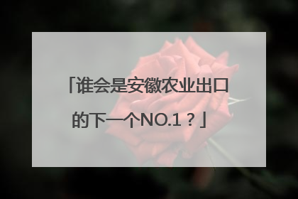 谁会是安徽农业出口的下一个NO.1？