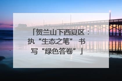 贺兰山下西夏区：执“生态之笔” 书写“绿色答卷”