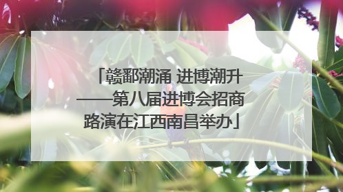 赣鄱潮涌 进博潮升——第八届进博会招商路演在江西南昌举办