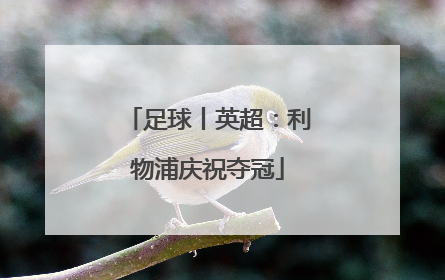 足球丨英超：利物浦庆祝夺冠