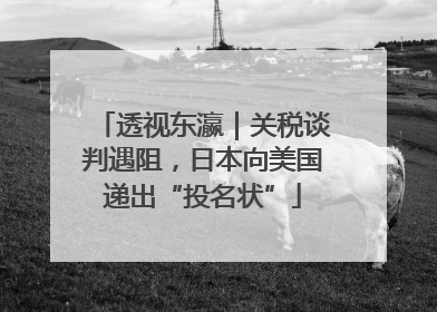 透视东瀛｜关税谈判遇阻，日本向美国递出“投名状”