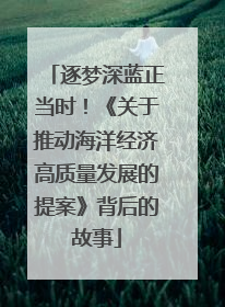 逐梦深蓝正当时！《关于推动海洋经济高质量发展的提案》背后的故事