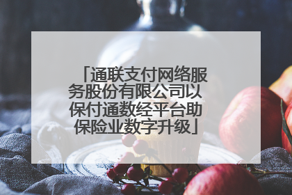 通联支付网络服务股份有限公司以保付通数经平台助保险业数字升级