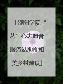 邵阳学院“艺”心志愿者服务站助推和美乡村建设