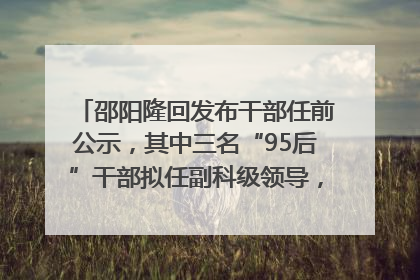 邵阳隆回发布干部任前公示，其中三名“95后”干部拟任副科级领导，均系硕士选调生