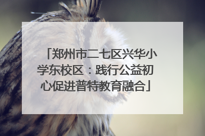 郑州市二七区兴华小学东校区：践行公益初心促进普特教育融合