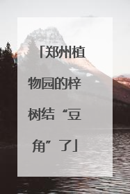 郑州植物园的梓树结“豆角”了