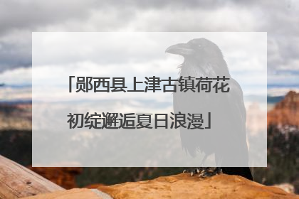 郧西县上津古镇荷花初绽邂逅夏日浪漫