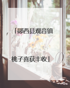 郧西县观音镇桃子喜获丰收