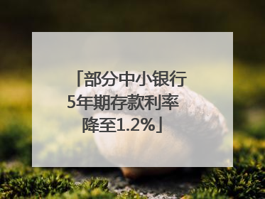 部分中小银行5年期存款利率降至1.2%