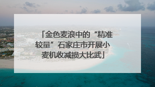 金色麦浪中的“精准较量”石家庄市开展小麦机收减损大比武