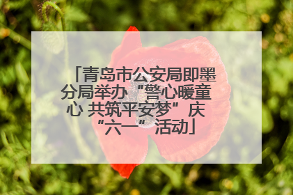 青岛市公安局即墨分局举办“警心暖童心 共筑平安梦”庆“六一”活动