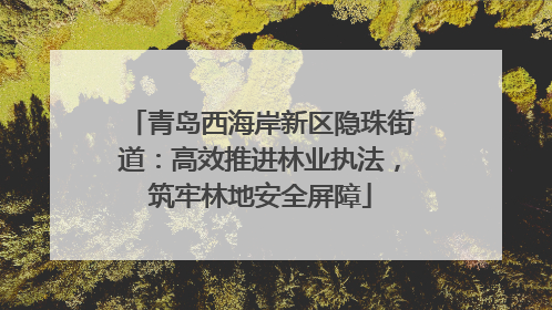 青岛西海岸新区隐珠街道：高效推进林业执法，筑牢林地安全屏障
