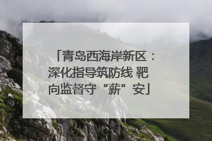 青岛西海岸新区：深化指导筑防线 靶向监督守“薪”安