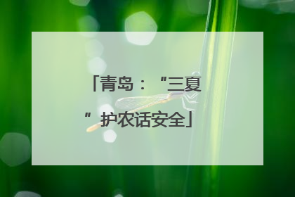 青岛：“三夏”护农话安全