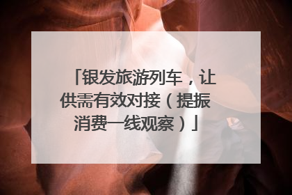 银发旅游列车，让供需有效对接（提振消费一线观察）