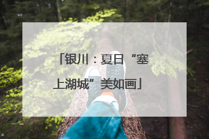 银川：夏日“塞上湖城”美如画