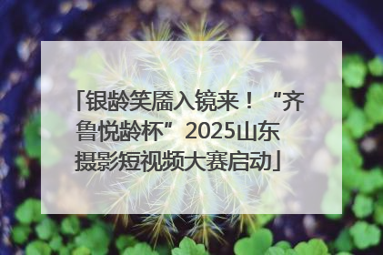 银龄笑靥入镜来！“齐鲁悦龄杯”2025山东摄影短视频大赛启动