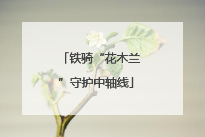 铁骑“花木兰”守护中轴线