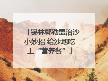 锡林郭勒盟治沙小妙招 给沙地吃上“营养餐”