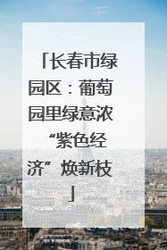 长春市绿园区：葡萄园里绿意浓 “紫色经济”焕新枝