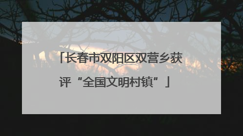长春市双阳区双营乡获评“全国文明村镇”